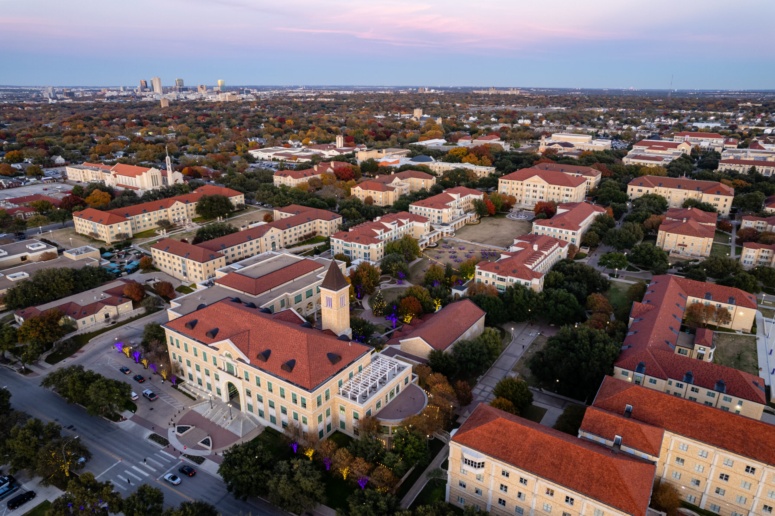 birds eye tcu